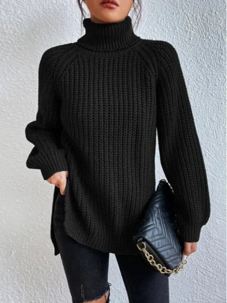 Knit Turtleneck Sweater