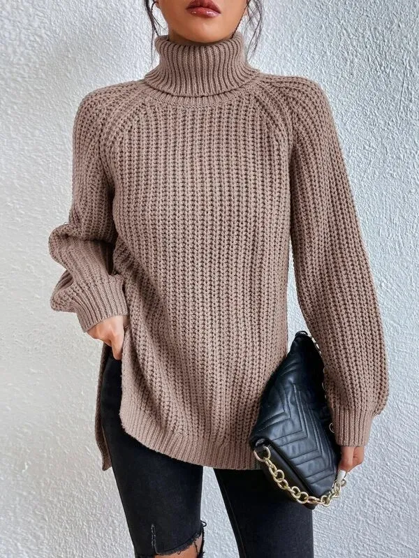 Knit Turtleneck Sweater